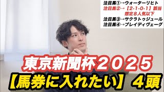 【東京新聞杯2025】過去10年データ＆ブレイディヴェーグほか「馬券に入れたい4頭」をピックアップ！