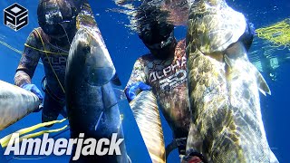 PESCASUB Ricciola Gigante - Spearfishing Amberjack +20kg - Pesca subacquea Aspetto - PESCA SUBMARINA