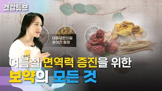 [KNN건강튜브] 여름철 면역력 증진을 위한 보약의 모든 것! 💪🏻