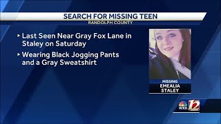 MISSING RANDOLPH TEEN