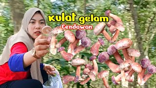 Mari cari kulat gelam atau cendawan / nak buat menu apa?