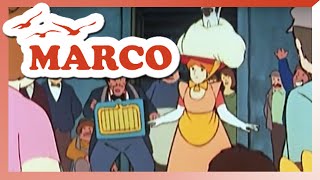 Marco - Episódio 33 - Uma desilusão grande