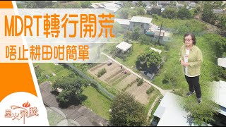 保險做到MDRT 為乜歸隱田園？｜陳苑儀《離保歸園田》星火飛騰 553