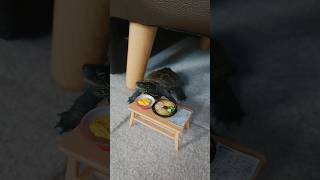 亀のちゃぶ台返し【The turtle, who loves cats, turned over the ramen.】