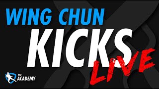 Wing Chun Kicks - Greenville Academy Live Show Clips