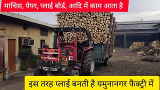 पॉपुलर से कैसे प्लाई बनती है और किस किस चीज में काम आ रहा है#popular #viral video #agriculture#subsc