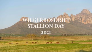 Wilgerbosdrift Stallion Day 2021