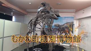 穂別博物館の展示解説