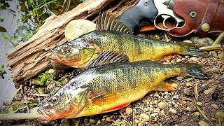 GIANT PERCH Catch & Cook!!! Fried Nuggets BACKWOODS STYLE