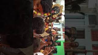 Aryapalli kali mata yatra