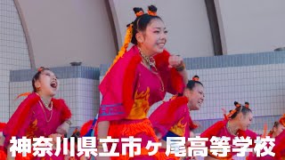 【神奈川県立市ヶ尾高等学校】ダンス部