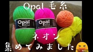 【Opal 毛糸】✨ネオンシリーズ集めて比べてみました😊✨