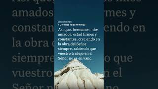 1 Corintios 15: 58 #feendios #feencristo #textosbiblicos #love