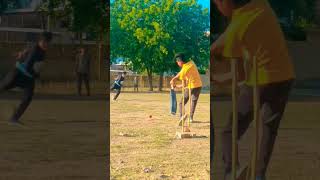 Cricket lover ❣️ #shote name please #cricket #msdhoni #viratkohli #youtubeshorts