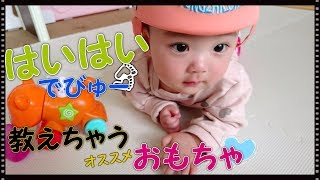 生後7ヶ月　ハイハイが出来る様になった赤ちゃん　みはるんchannel