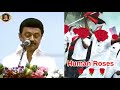 human roses m.k.stalin troll