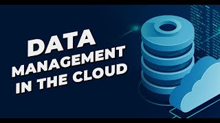 Data Management in the Cloud