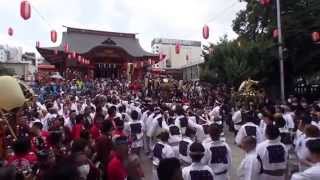 平成２５年 花園神社 例大祭 宮入り 新宿四 雷電稲荷町会神輿連合渡御です。