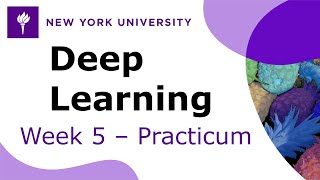 Week 5 – Practicum: 1D multi-channel convolution and autograd