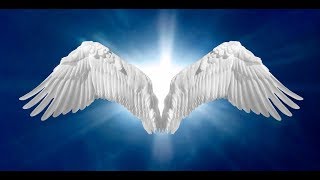 Davis Memorial Video