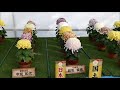 『第３６回 日本菊花全国大会』国華園　福助花壇の部（２０１９年１１月６日）chrysanthemum