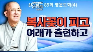 복사꽃이 피고 여래가 출현하고[#문광스님 의 화두의 바다 선문염송 89회 영운도화(4) 전체영상