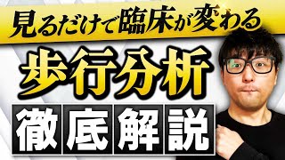 【これ１本でOK】歩行周期を基礎から解説します