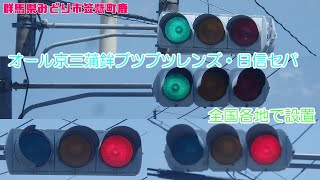 【信号機】群馬県みどり市笠懸町鹿 オール京三蒲鉾ブツブツレンズ・日信セパの交差点