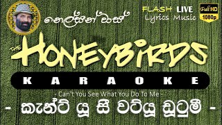 Can't You See What You Do To Me Karaoke (Without Voice) කැන්ට් යූ සී වට්යූ ඩූටුමී කැරෝකේ