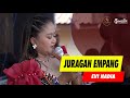 Lagu Juragan Empang Koplo Jaipong - Evi Nadia - AK Virgo - Mister Pro Music