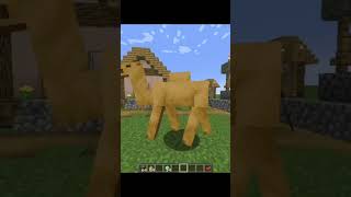 Camels In Minecraft Is Amazing!