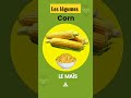 corn in French | le mais (les légumes) #french #shorts #trending #ytshorts