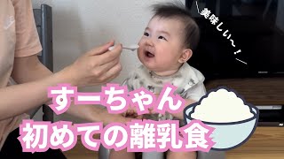 【生後6ヶ月】初めて離乳食を食べる赤ちゃん！