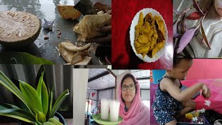 কেচা কঠালৰ ৰেসিপি।Raw jackfruit recipe। Assamese vlog । Life of Mampi