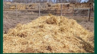 Mortality Composting Pictures