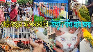 শাটডাউনে মিরপুর ১ পাখির হাট কেমন ছিল। mirpur 1 pakhir hat