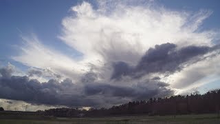 Weerbericht dinsdagochtend: Vanmiddag pittige buien