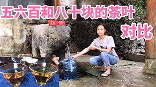 【杨一米茶】武夷山正山小种560一斤和广西高山小种80一斤，区别在哪里呢？