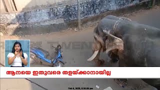 നിലമ്പൂരിൽ ഇടഞ്ഞ ആന  ഇതുവരെ തളയ്ക്കാനായില്ല; നിലവിൽ ശാന്തനായി  നിൽക്കുന്നു