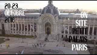 FIAC 2016 Petit Palais - secteur ON SITE