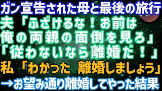 【スカッとする話】ガンを宣告された実母と最後の旅行に行くと相談すると夫「従わないなら離婚だ！」と離婚届を突きつけられた私「わかった、離婚しましょう」→お望み通り離婚してやった結果