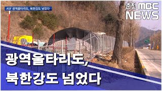 [춘천MBC]광역울타리도 북한강도 넘었다