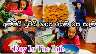 මගේ අද දවස | අම්මයි දුවයි හදපු රසම රස කේක් එක | Madu Liyanage