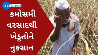 Mehsana BREAKING: મહેસાણામાં કમોસમી વરસાદથી ખેડૂતોને નુકસાન | Monsoon Updates | ZEE 24 Kalak