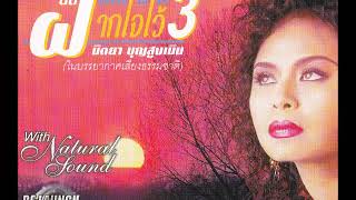 ลาก่อนสำหรับวันนี้ - นิตยา บุญสูงเนิน [Official Audio]