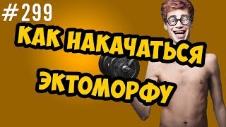 как накачаться эктоморфу \\\\ основные правила тренировок и питания хардгейнеров