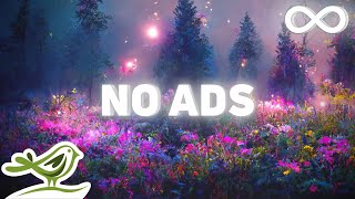 [NO ADS] 8 Hours of Relaxing Sleep Music with Dreamy Slideshow ★116