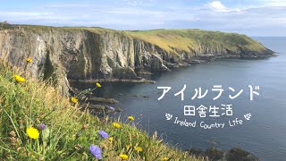 【アイルランドの風景】海辺ドライブ| 断崖の絶景 | 鳥たちのショー |story 13