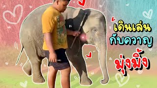 โนโน๊ะเดินเล่นกับปี๊ดสองคน มุ้งมิ้ง 😂elephant