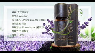 等待愛情 薰衣草精油｜單方精油介紹